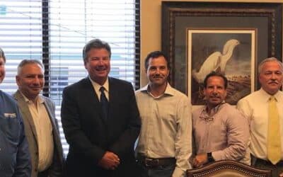 Project Blue Turns Green