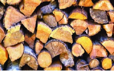 NATCHEZ, MISSISSIPPI ISSUED BDO ZONE ‘AA’ RATING FOR WOODY BIOMASS